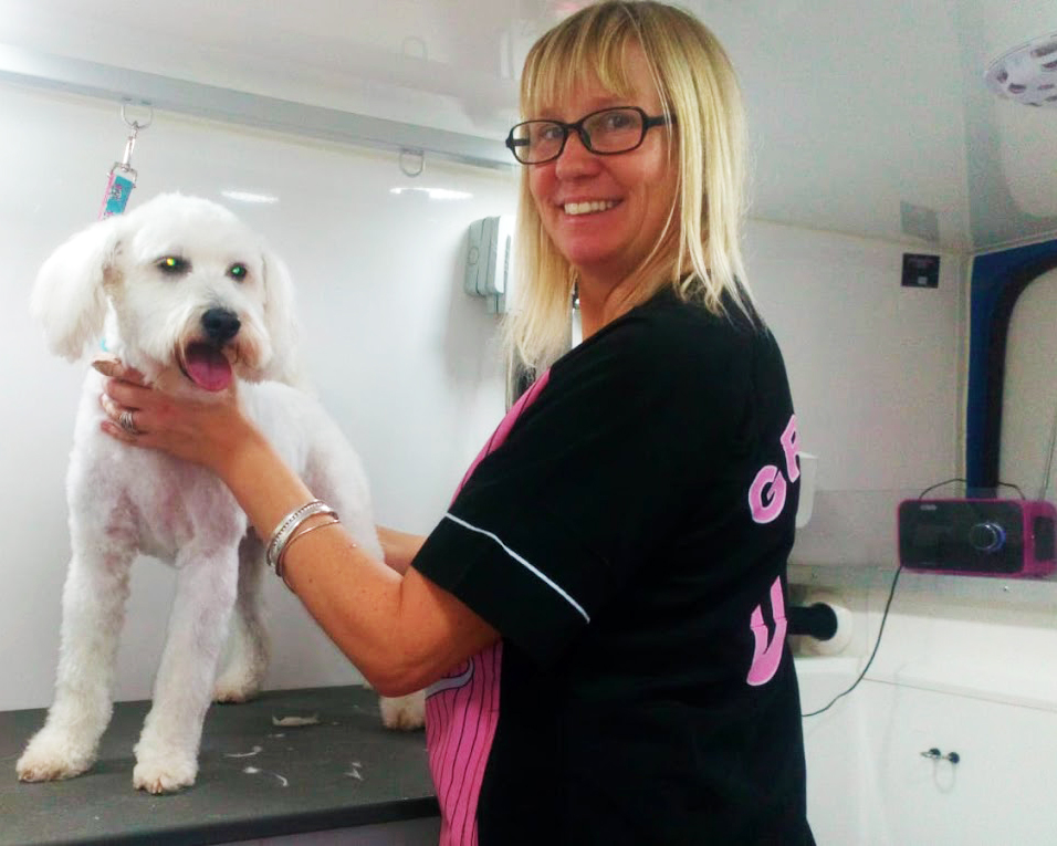 Your groomer with a happy dog in The Grooming Vroom van